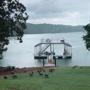 Meet your Posher, Carli